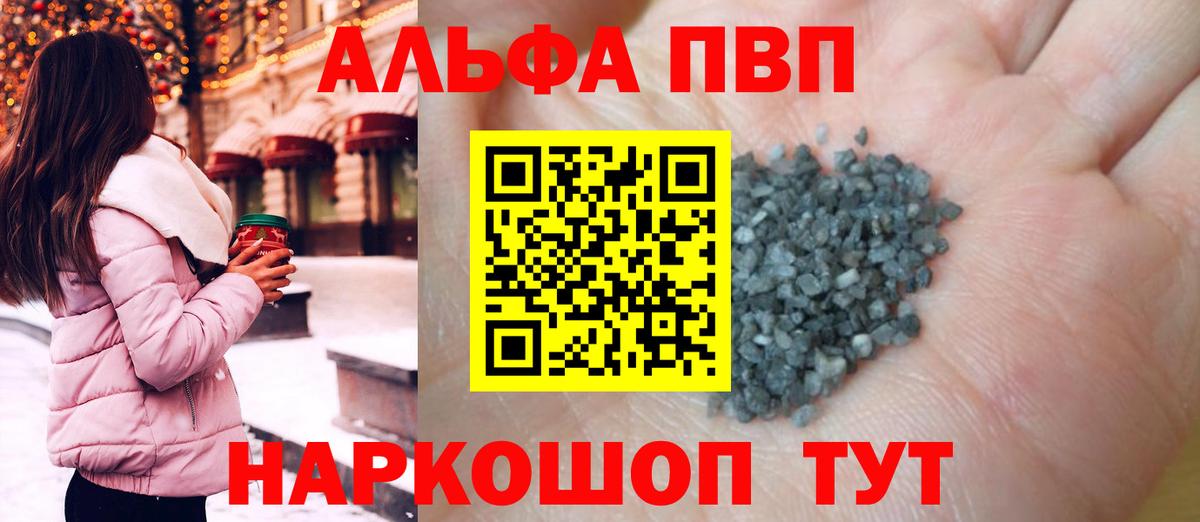 Альфа ПВП СК Санкт-Петербург