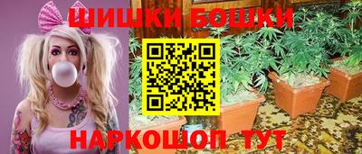 jwh Будённовск