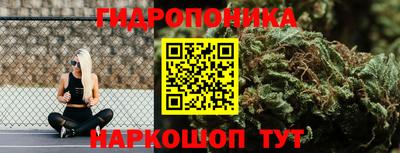 jwh Будённовск